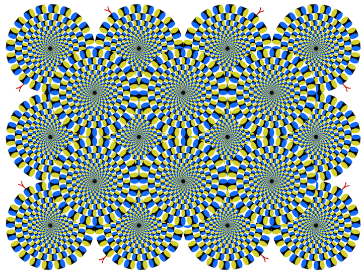 brain games illusions